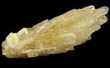 Honey Yellow Celestine (Celestite) Crystal Spray - Machow Mine, Poland #79275-2